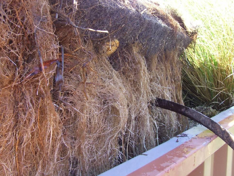 百奧源&reg;浮動濕地根系發(fā)達(dá)，密度大大高于人工濕地